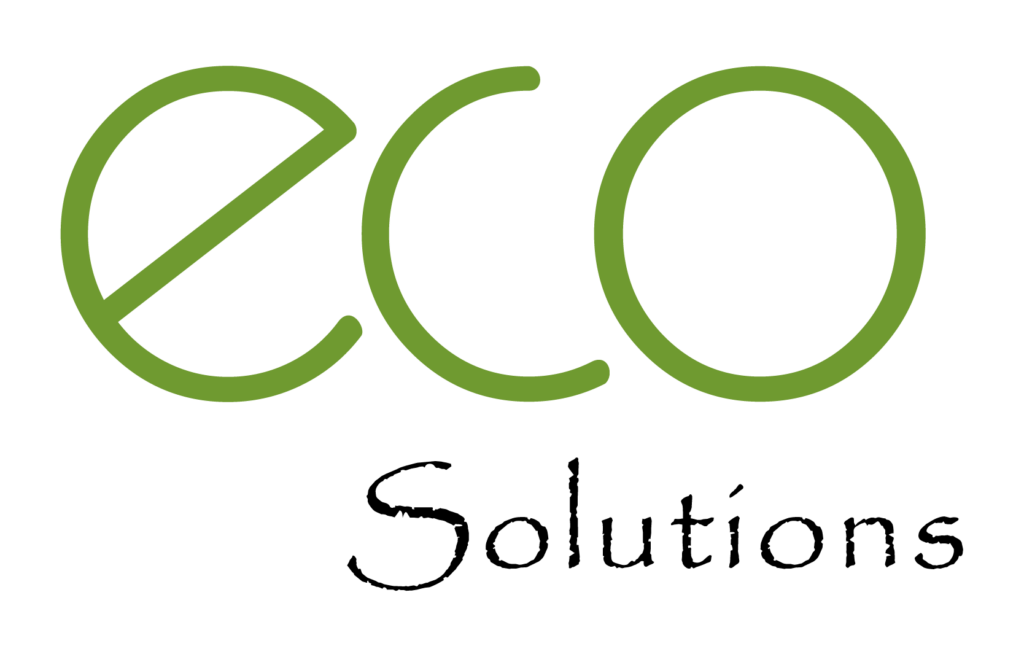 Stone Sample Display