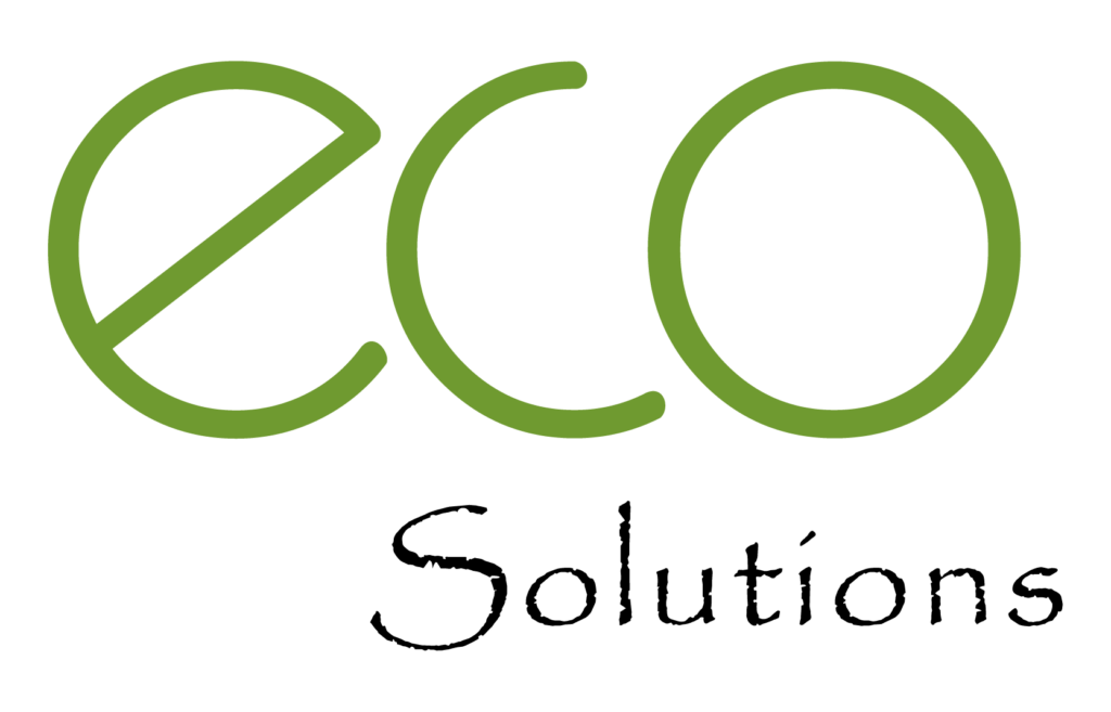 Stone Sample Display